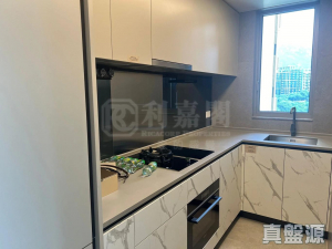 177137552341061d54-c92c-4f1f-9b98-4a5c5252dcbe.jpeg 飛揚 2期 5座 - 28NTS – 香港北部都會區