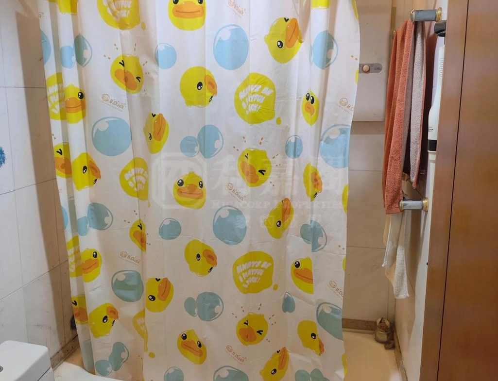 東堤灣畔 2期 5座 - 28NTS – 香港北部都會區