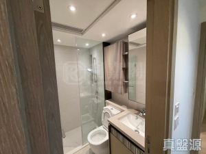 1771665490ca386d3f-148e-48f3-801e-450710b108b7.jpeg WETLAND SEASONS PARK 2期 11座 - 28NTS – 香港北部都會區