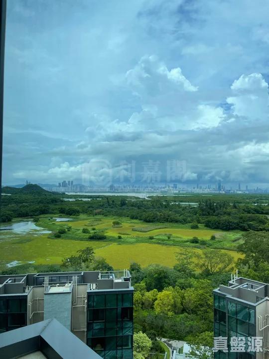 WETLAND SEASONS PARK 2期 12座 - 28NTS – 香港北部都會區