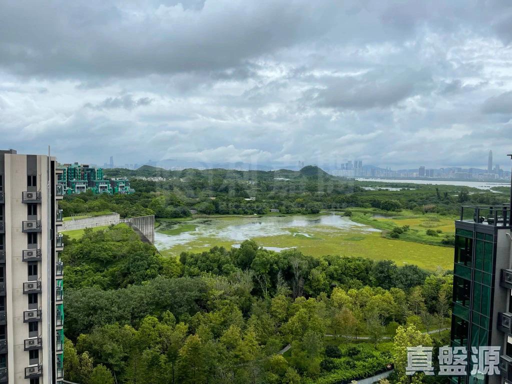WETLAND SEASONS PARK 2期 12座 - 28NTS – 香港北部都會區