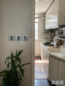 17718749473a827875-446c-4772-9cd0-6be77d6a7663.jpeg 欣盛苑 欣麗閣 (B座) - 28NTS – 香港北部都會區