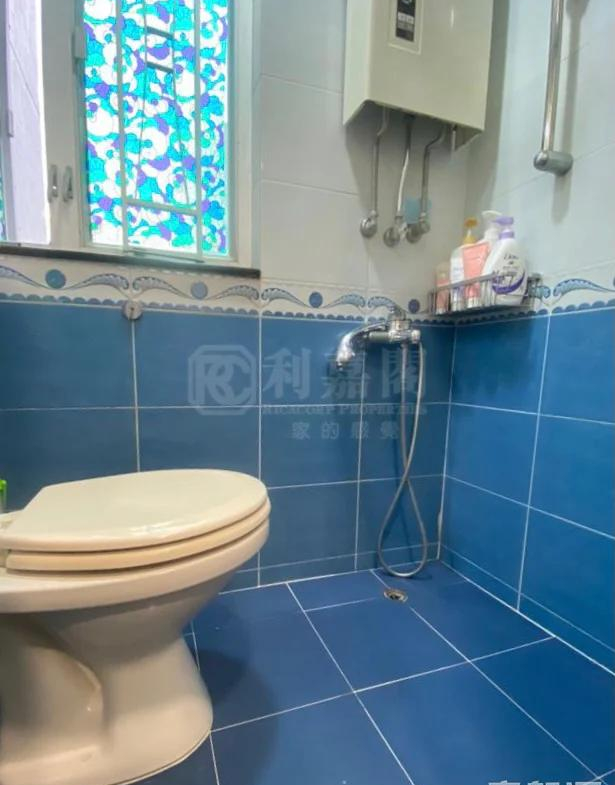 錦鞍苑 銀鞍閣 (B座) - 28NTS – 香港北部都會區