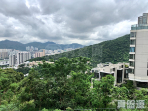 1772025652a170dbc0-c35a-4c57-9013-ee6d6b68d21e.jpeg 澐灃 - 28NTS – 香港北部都會區