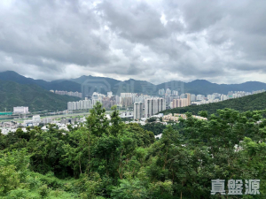 1772025656ca9af69a-3750-46a0-8c64-194d17acc8ad.jpeg 澐灃 - 28NTS – 香港北部都會區