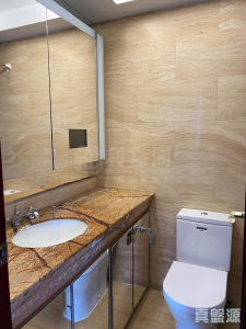 17720280581f94c5f7-e020-4efa-af4d-4674f82d2e2f.jpeg 御龍山 5座 - 28NTS – 香港北部都會區