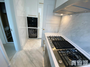 177203082596c86016-8328-4c50-b85f-64e729f78d31.jpeg 澐瀚 - 28NTS – 香港北部都會區