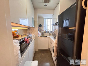 17720408324fa6c30e-9bc6-488e-9bd6-e8c4308799bd.jpeg 名城 3期 盛世 1座 - 28NTS – 香港北部都會區