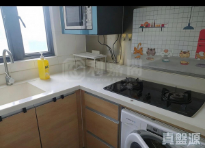 1772353926f462180d-8806-4a23-987d-7c0c773a5744.jpeg 立坊 - 28NTS – 香港北部都會區