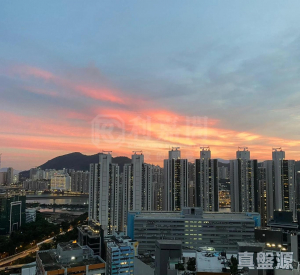 1772354884dbd1bd16-7ad0-41c2-9f1c-2da0678274a1.jpeg 立坊 - 28NTS – 香港北部都會區