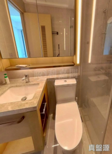 1772367868c3c269c9-b254-445e-9123-bffc3ff49507.jpeg 山水盈 10座 - 28NTS – 香港北部都會區