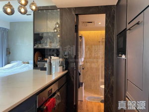 177236948379eff871-d5c9-41d8-98ad-aa137ea0efc8.jpeg THE CARMEL 1座 - 28NTS – 香港北部都會區