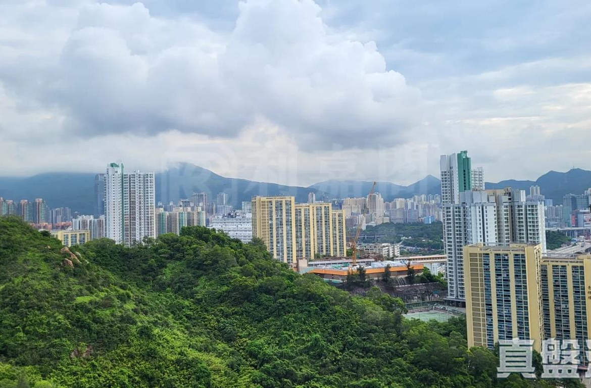 明翹匯 1座 - 28NTS – 香港北部都會區