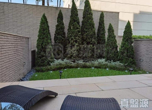 1772375187f9455547-b048-454d-8033-4543e418dabb.jpeg 柏巒 1期 - 28NTS – 香港北部都會區