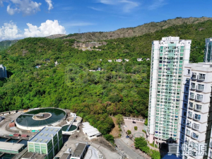 1772376966641cdb40-0460-47ae-91c6-3631c80360c2.jpeg 御半山 1期 1B座 - 28NTS – 香港北部都會區