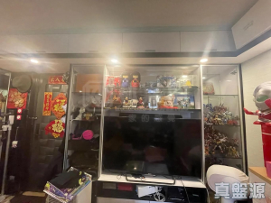 17723771126a31968f-9584-4c3a-bc3d-a519a9278c96.jpeg 青雅苑 - 28NTS – 香港北部都會區