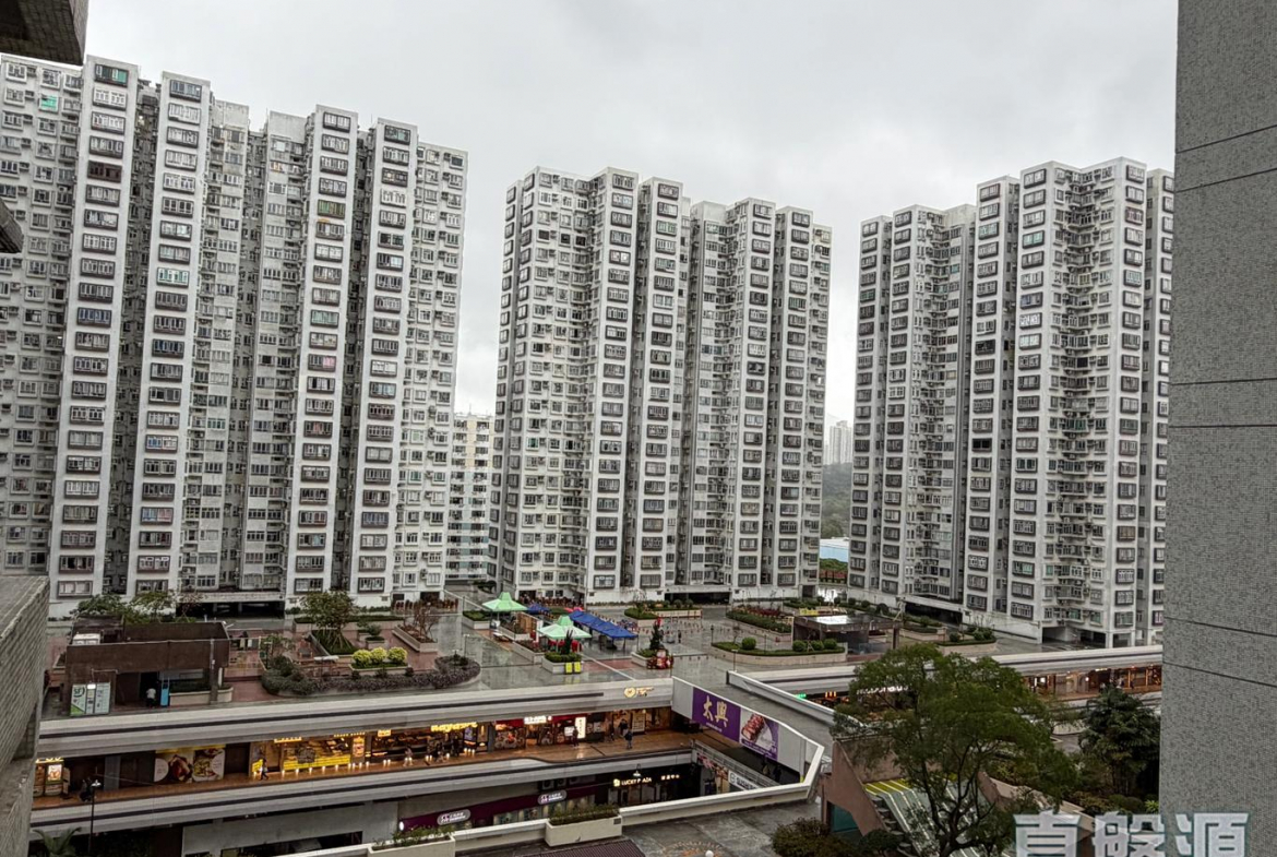 沙田中心 嘉寧大廈 (F座) - 28NTS – 香港北部都會區