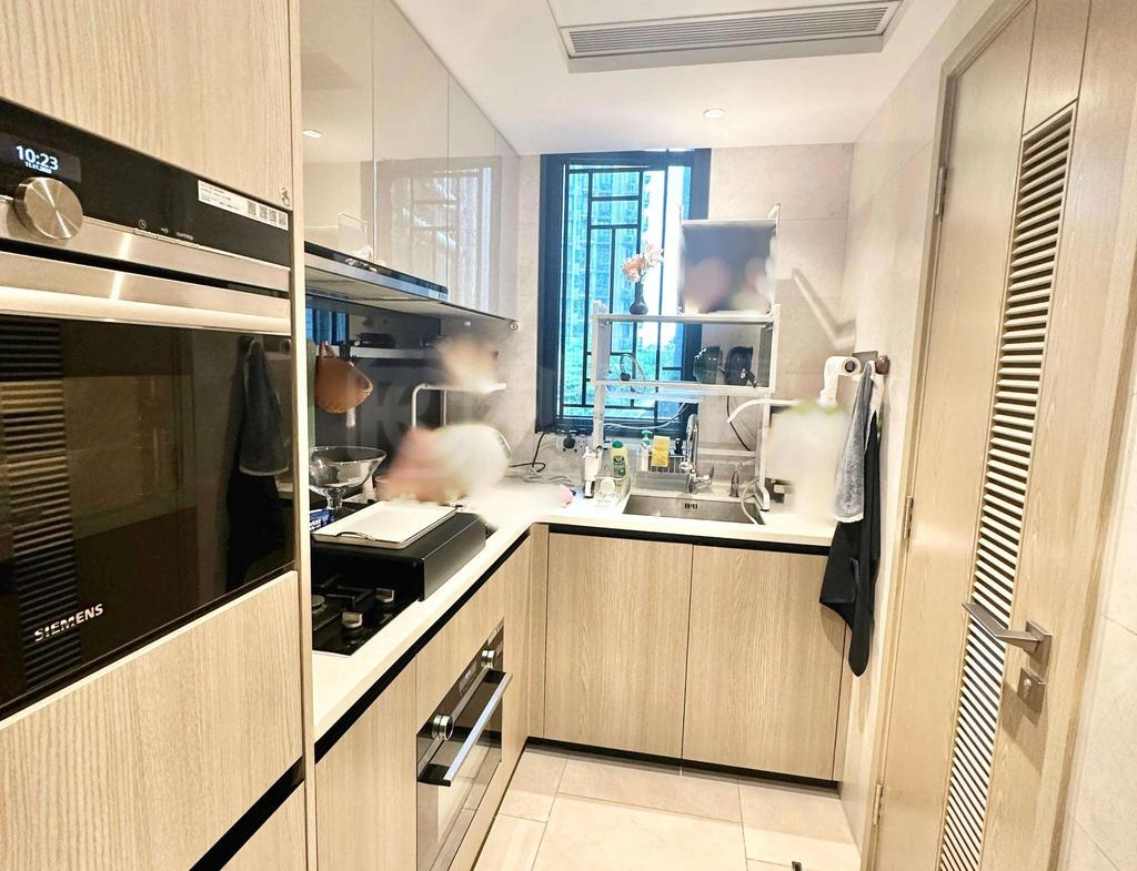 WETLAND SEASONS PARK 2期 11座 - 28NTS – 香港北部都會區