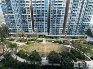 17730458232d5dedcf-c96e-435e-816b-16c0f58fac5c.jpeg 峻巒 1A期 PARK YOHO 10A座 - 28NTS – 香港北部都會區