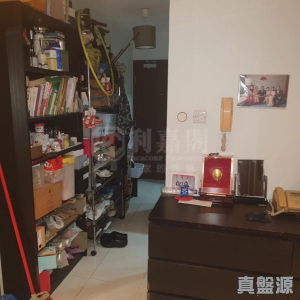 1773047997633c8f48-85f8-4883-84ed-34e9e117d70f.jpeg 青泰苑 恆泰閣 (C座) - 28NTS – 香港北部都會區