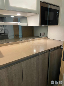 1773064805057648dc-7f35-4392-85b2-ed14c309d7d2.jpeg 峻巒 2A期 PARK YOHO GENOVA 17座 - 28NTS – 香港北部都會區