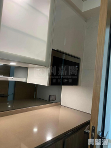 1773064808f5819a67-e4b9-4ce1-9113-51500e668c72.jpeg 峻巒 2A期 PARK YOHO GENOVA 17座 - 28NTS – 香港北部都會區