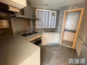 1773069763371f99f4-d860-44b9-951a-c158683778f9.jpeg 星堤 3座 - 28NTS – 香港北部都會區