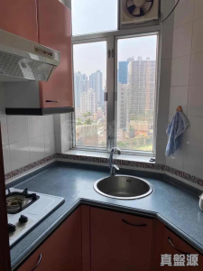 1773071821f6d73704-97d9-4ae5-9077-ca47cf434c7e.jpeg 愉景新城 2期 7座 - 28NTS – 香港北部都會區