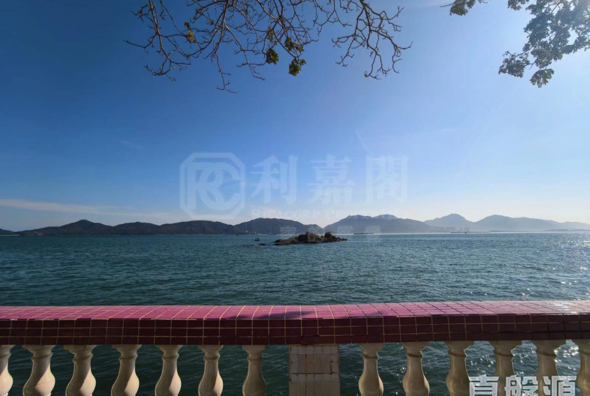 龍珠島別墅 F3座 - 28NTS – 香港北部都會區