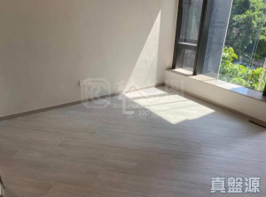 177307329703205630-88d8-4ce6-8660-7097666ae675.jpeg 帝御 2期 帝御‧星濤 2座 - 28NTS – 香港北部都會區