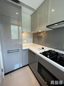 1773074168317da157-5c8b-482b-a74b-971c45c67139.jpeg NAPA 5座 - 28NTS – 香港北部都會區