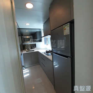 1773077535932cd8df-5a83-4a46-8520-e75fd9a9dba0.jpeg 世宙 2座 - 28NTS – 香港北部都會區