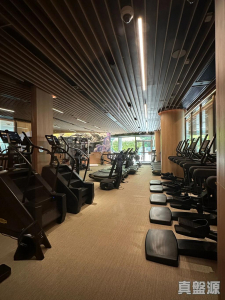 177307785680564943-775c-434c-b479-09bb1bf5f0eb.jpeg NOVO LAND 1A期 Elverum 2座 - 28NTS – 香港北部都會區