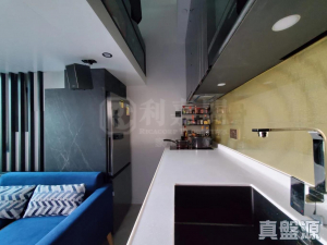 177307826972112001-7bc7-4c71-858c-109274a78263.jpeg 弦海 - 28NTS – 香港北部都會區