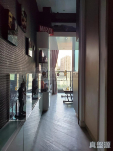 177307827671370785-76c8-47b2-9119-073d80b97347.jpeg 弦海 - 28NTS – 香港北部都會區