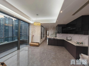 17730795586cdbdad3-4d3b-456e-ba33-4c071423aff0.jpeg NAPA 5A座 - 28NTS – 香港北部都會區