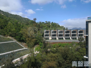 177307975563ae0429-d73e-4768-92e0-6fbecee4faa2.jpeg 滿名山 滿庭 6座 - 28NTS – 香港北部都會區