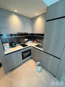 1773081364beaa6310-d0b9-4556-a592-0ecda7b08784.jpeg WETLAND SEASONS PARK 1期 22座 - 28NTS – 香港北部都會區