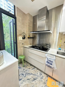 1773082343f07ab638-a8cf-44a9-991f-2038158064cd.jpeg 琨崙 金琥珀 洋房53 - 28NTS – 香港北部都會區