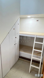 177308270384a9ff2b-81d7-4650-a7ed-2ea163864faa.jpeg 星堤 - 28NTS – 香港北部都會區