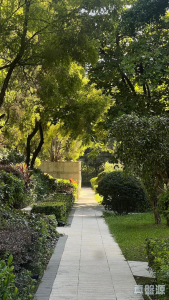 1773082728dbd85d33-cff7-488c-afff-2ff0100df0d2.jpeg 星堤 - 28NTS – 香港北部都會區