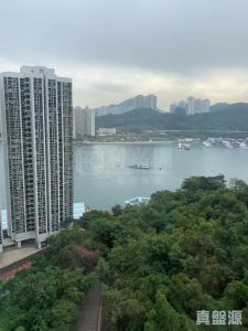 17730832514a621982-604a-477b-9c66-34845d067296.jpeg 翠濤閣 2座 - 28NTS – 香港北部都會區