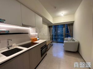 1773083966739e72ba-5c35-4d9e-9813-4478a55c2bfc.jpeg NOVO LAND 2B期 Arreso 1B座 - 28NTS – 香港北部都會區