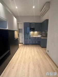 17730841495e76a300-6011-4e47-9983-5d488a90ccd4.jpeg 弦海 - 28NTS – 香港北部都會區