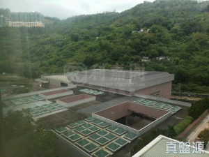 17730846334432ad12-95e9-4112-85b5-cb631f21ebd1.jpeg 愉景新城 1期 4座 - 28NTS – 香港北部都會區