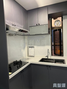 1773084737d10a48c8-64f7-49c5-8947-0d552c5478b0.jpeg 綠楊新邨 F座 - 28NTS – 香港北部都會區