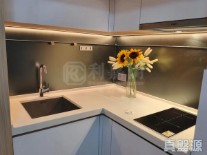 1773085109b16bbfd3-ffe7-4399-ae71-006619431246.jpeg 尚柏 - 28NTS – 香港北部都會區