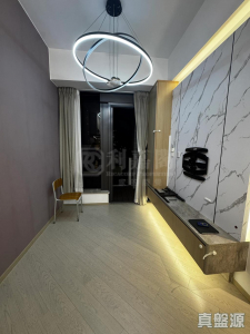 1773085405e051c475-32d3-4f96-978f-026dc3a73d32.jpeg 帝御 1期 帝御‧金灣 3座 - 28NTS – 香港北部都會區