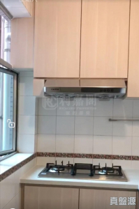 177308595618f3aa10-0ce9-4d75-bd0a-c2f93620263a.jpeg 愉景新城 1期 1座 - 28NTS – 香港北部都會區