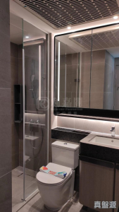 17730861957b738816-736b-4c5f-b477-781f51c5a335.jpeg NOVO LAND 2B期 Arreso 1B座 - 28NTS – 香港北部都會區